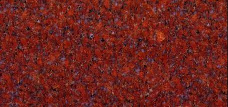 水頭市場“印度紅”遭瘋搶,搶不到也別慌,還有國產印度紅!