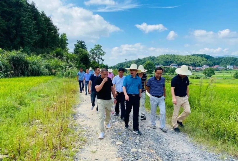 江西省安福縣委書記等領(lǐng)導(dǎo)一行蒞臨方通石業(yè)視察指導(dǎo)!附江西吉安新品青石欣賞!