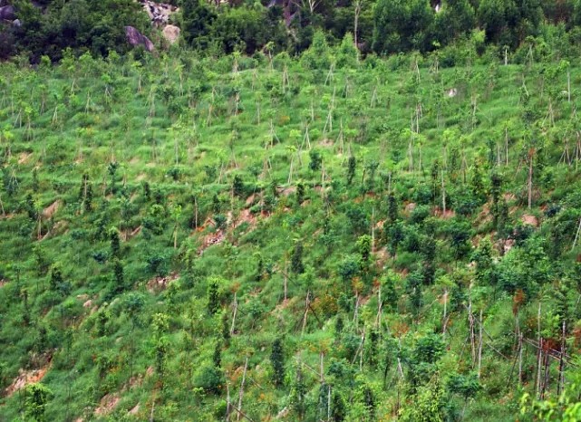 漳浦問題礦山生態(tài)圓滿修復(fù),全縣石材企升級27家企業(yè)復(fù)電復(fù)產(chǎn),獲中國環(huán)境報(bào)好評