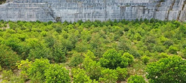 漳浦問題礦山生態(tài)圓滿修復(fù),全縣石材企升級27家企業(yè)復(fù)電復(fù)產(chǎn),獲中國環(huán)境報(bào)好評