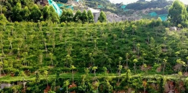 漳浦問題礦山生態(tài)圓滿修復(fù),全縣石材企升級27家企業(yè)復(fù)電復(fù)產(chǎn),獲中國環(huán)境報(bào)好評