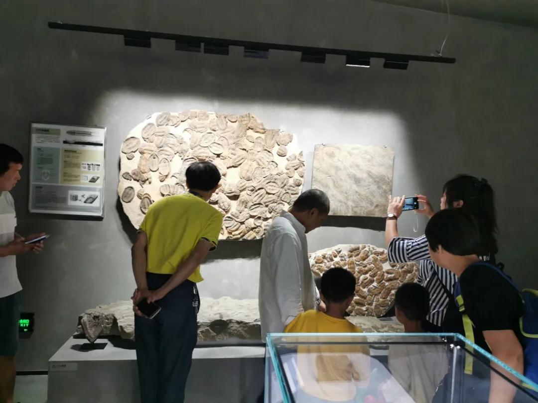 石材文化的分享者|晉江、南安兩地作協(xié)主席與作家蒞臨水頭參觀指導