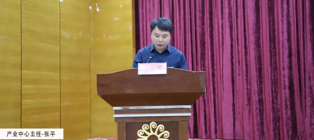 麻城召開石材產業園提標升級工作會,檢驗升級大行動階段成果