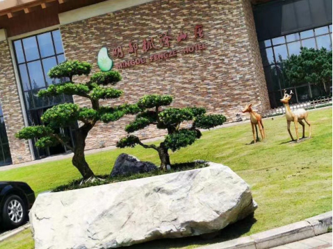 晏輝：用石材做的花盆真的人見人愛，每一款都獨具味道