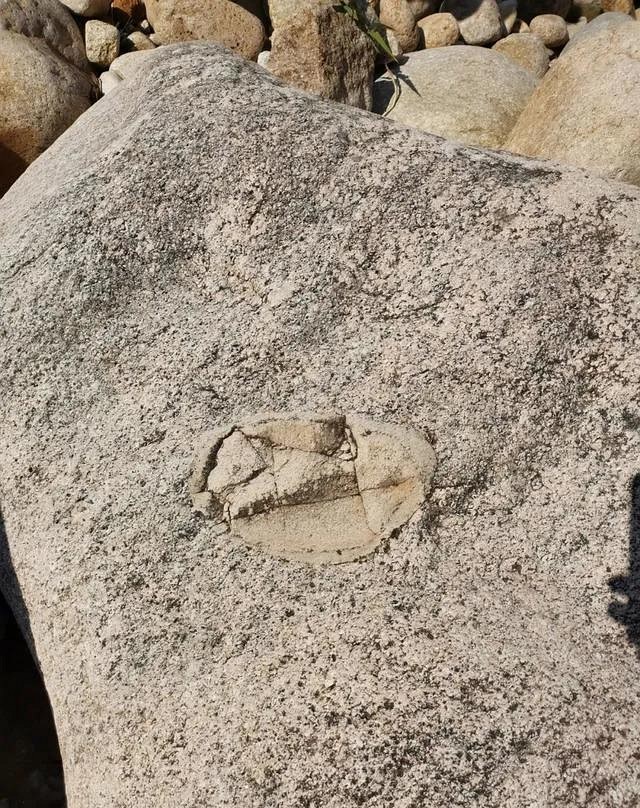 人跡罕至!浙江溫州永嘉這里有條花崗巖石河、平板溪