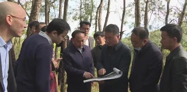 湖北木蘭紅產地大悟縣將建成鄂北規模最大的石材產業園！