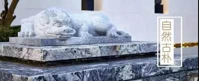 浪淘沙花崗巖（國產(chǎn)三款浪淘沙石材）？