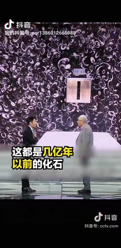 貴陽機場廁所洗手臺化石是哪個石材(海貝花大理石)