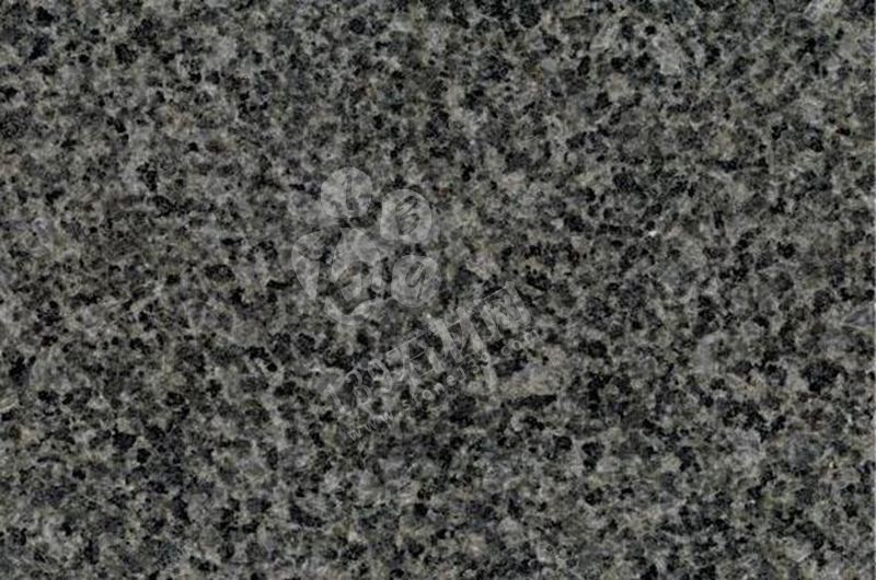 傻傻分不清楚的鐘山青與芝麻黑，到底有什么區(qū)別？