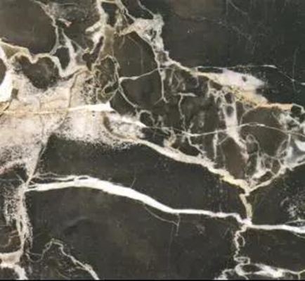 黑金花大理石-關(guān)鍵詞:富麗堂皇、華麗高貴、黑色奢華