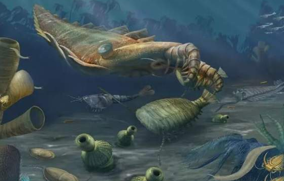 石灰石與砂巖是如何形成的,他們有什么區別? 石灰巖與砂巖