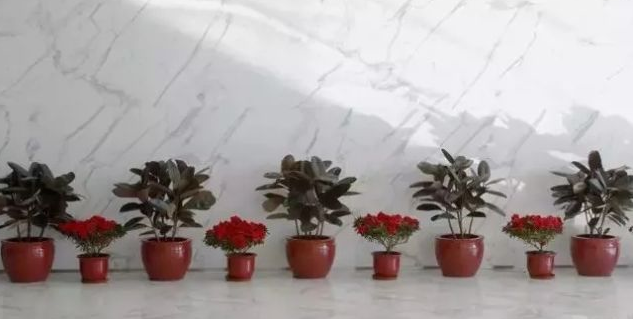 高檔進口白色大理石(雪花白)選料、加工、安裝、結晶護理的一些注意事項 雪花白大理石