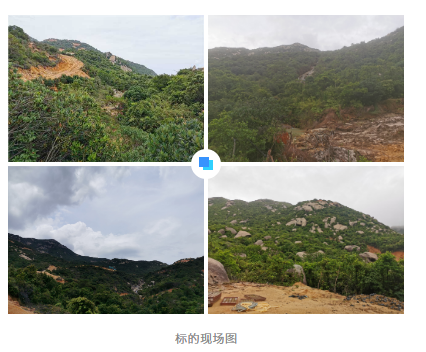 18億起拍|廣東江門市臺山出讓儲量超2億方的建筑用花崗巖礦 廣東江門臺山花崗巖礦權(quán)出讓2022