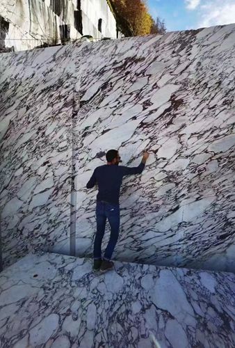 寶格麗大理石(卡拉卡塔紫)