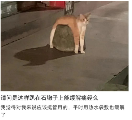 擋車圓球要漲價了?高溫下的擋車石居然是女性痛經(jīng)殺手!附擋車石(球)欣賞! 石材擋車球 擋車柱