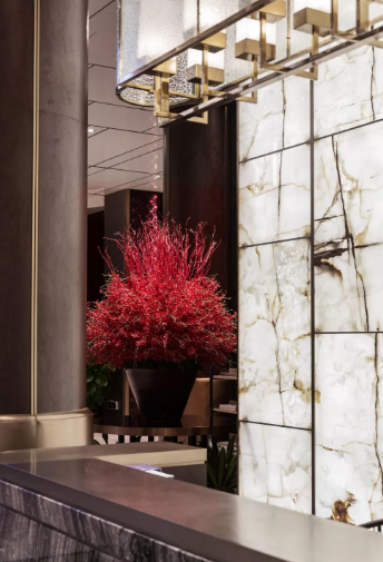 透光石解謎 透光石的種類及裝飾案例